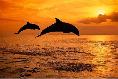 KK官方对战平台争霸赛启动 三国战火燃雪原，盖世英雄显真章！